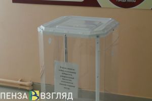 Пензенцам рассказали, как выбрать избирательный участок и прикрепиться к нему