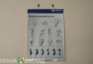 За неделю к пензенским травматологам обратились более 700 человек