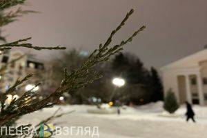 20 февраля в Пензе ожидается переменная облачность и снег