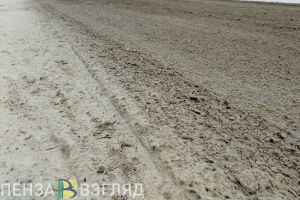 Снежная каша затрудняет проезд по проезду Германа Титова в Пензе