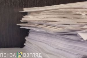 Пензенцы узнали о призыве Львовой-Беловой выделять вакансии 4 категориям граждан