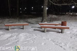 Температура воздуха ночью в Пензенской области опустится до -17 градусов
