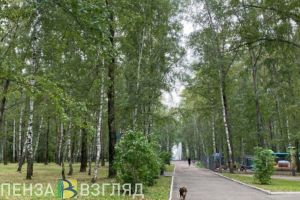 Жители Каменки смогут выбрать один из трех объектов для благоустройства