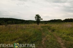 В Нижнеломовском районе земли сельхозназначения отдали под свалку