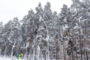 Ночью 24 февраля в Пензенской области прогнозируется похолодание до -21 градуса