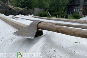 В Кузнецком районе мужчина с топором набросился на обидчика своей племянницы