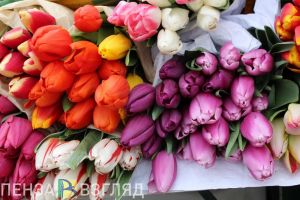 Траты на цветы у пензенцев в начале марта могут вырасти на 25-30%