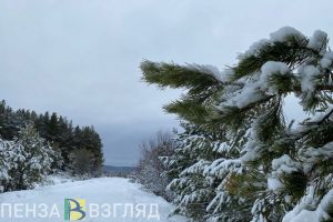В ночь на воскресенье в Пензенской области прогнозируется -22 градуса