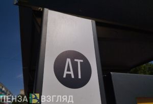 Минцифры прокомментировало видео с необычной высадкой пассажиров маршрутки в Пензе