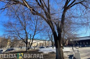 Пензенцев ждет до -7 градусов 26 февраля