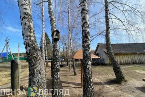 Вильфанд рассказал, какую погоду почувствуют пензенцы в марте