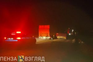 Пензенские полицейские спасли замерзающего водителя