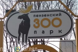 Директор зоопарка Пензы прокомментировал новость о перевозе животных из Аткарска