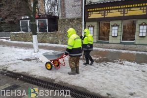 Пензенский депутат пожаловалась на плохое состояние тротуаров в центре города
