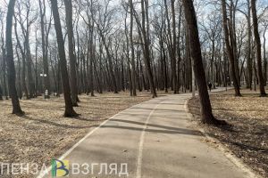 Пензенцам пообещали сухую и солнечную погоду в начале весны