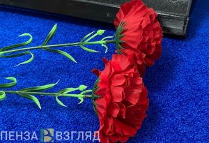 В Нижней Елюзани на здании школы открыли мемориальную доску участнику СВО