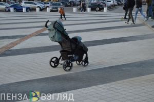 Заксобр Пензенской области утвердил новые меры поддержки многодетных семей