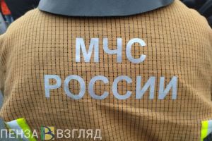 При пожаре в Колышлейском районе пострадал мужчина