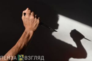В Пензенской области пенсионер зарезал женщину из-за политвзглядов