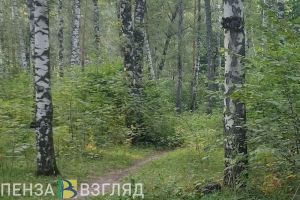 Пензенцев планируют защитить от аллергии с помощью новой вакцины