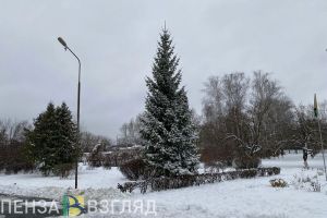 6 марта в Пензенской области прогнозируется -6 градусов и снег