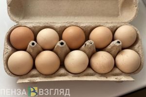 Пензенцам сообщили, кто виноват в резком росте цен на яйца