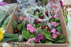 Пензенцы узнали о предложении ввести регулирование цен на цветы