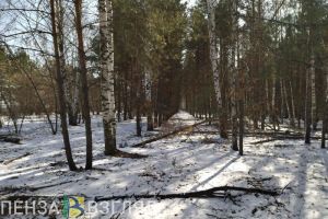 В субботу в Пензенской области температура воздуха достигнет нулевой отметки