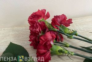 Скончался администратор Нижнеломовского районного суда Александр Балашов