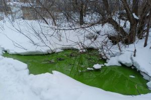 В кузнецком «Водоканале» прокомментировали утечку зеленой жижи на одной из улиц