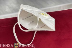 Жителей Пензенской области призвали не опасаться новых вирусов и инфекций