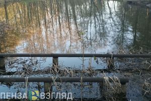 Пензенцы узнали, когда в среднюю полосу России придет метеорологическая весна