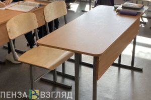 Работа школ в дни выборов, состояние отравившихся боксеров и отключение света: новости Пензы и области за 11 марта
