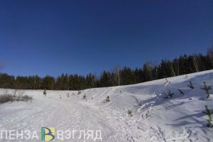 Пензенцам рассказали, какая погода ожидается на масленичной неделе