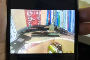 Молодой пензенец задержан за призывы к экстремизму