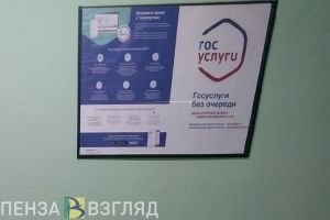 Пензенские участники СВО узнают все о положенных им льготах на «Госуслугах»