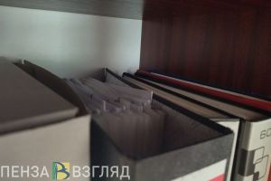 В Пензенской области чиновники «забыли» указать часть своих доходов