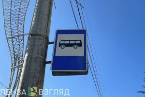 Пензенским детям из многодетных семей оплатят поездки в общественном транспорте