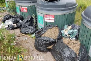 В Пензенской области 18 марта начнется месячник по благоустройству
