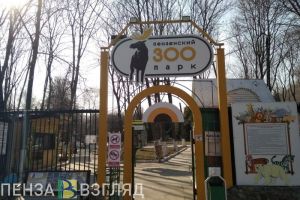 В пензенском зоопарке ввели новые правила посещения для участников СВО