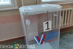 Жители Пензенской области узнали, как найти адрес своего избирательного участка