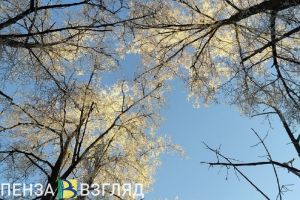 Пензенцам обещают плюсовую температуру 16 марта