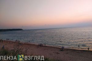 Пензенских участников СВО и их семьи предложили отправить на отдых в Крым