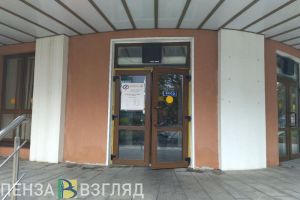 Названо число детей в Пензенской области, на которых назначено единое пособие