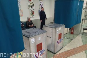 Подобед рассказал о работе наблюдателей в Пензенской области в дни голосования