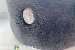 Пензенских участников СВО и их семьи хотят освободить от налога на имущество