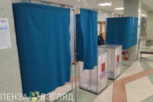 Подведены промежуточные итоги выборов президента в Пензенской области