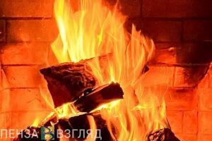 Пензенцы узнали о планах ужесточить наказание за поджог избирательных участков