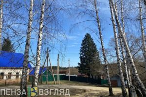 Во вторник в Пензенской области прогнозируют 7 градусов тепла