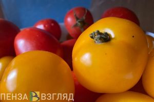 У православных пензенцев начался Великий пост